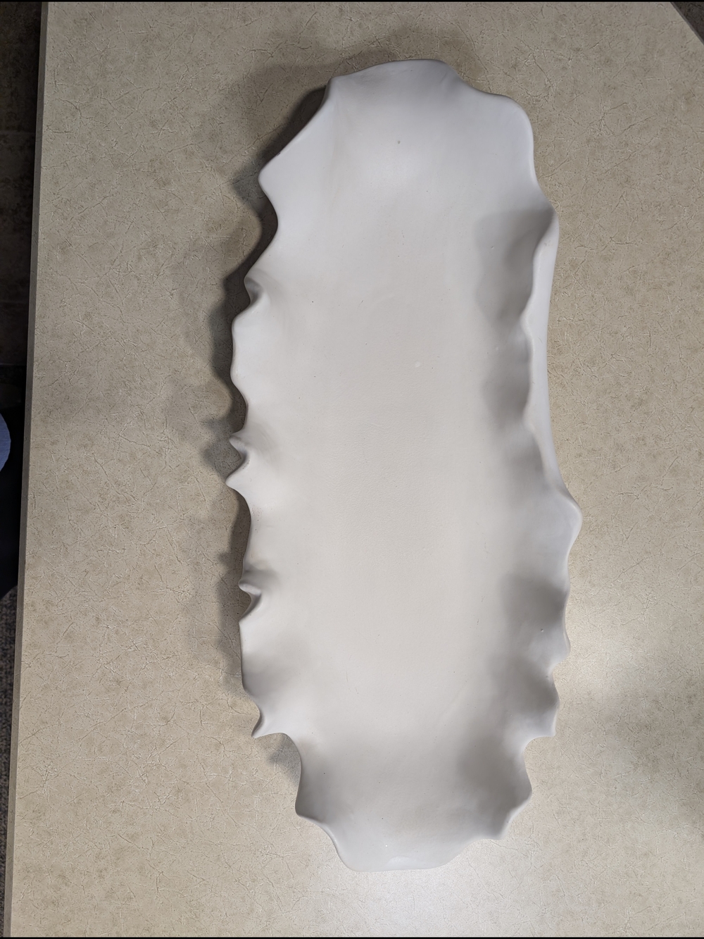 Uttermost Ruffled Feathers Platter & Art